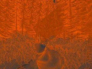 stylized forest 3d 3D Model