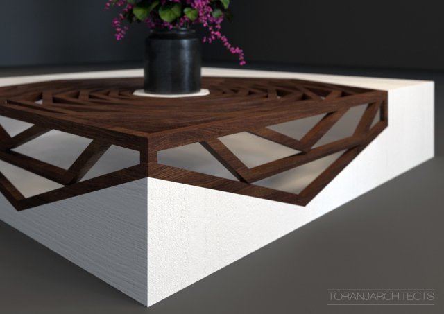 Hanako solid wood abstract store coffee table