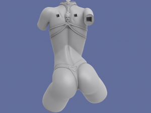 succubus 3D 프린트 모델