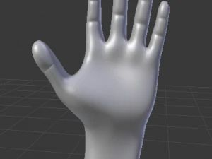 3 boyutlu el 3D Model