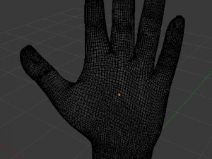 3d hand 3D Model