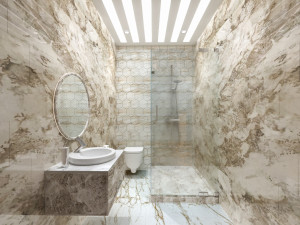 washroom 3D 模型