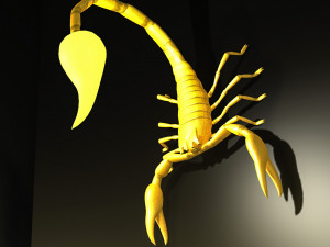 Scorpion style Wall Lamp Model 3D
