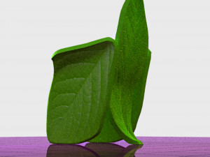 Chair Leaf 3D Модель