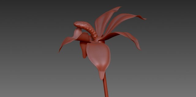 flor 3D 모델 .c4d .max .obj .3ds .fbx .stl .blend 