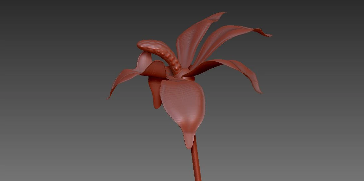 flor 3D Model .c4d .max .obj .3ds .fbx .stl .blend 