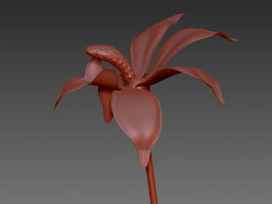 flor 3D Модель