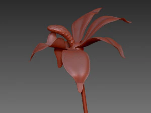 fleur Modèle 3D