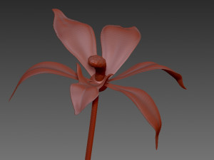 flor 3D 모델