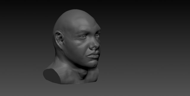 face 3D Model .c4d .max .obj .3ds .fbx .stl .blend 