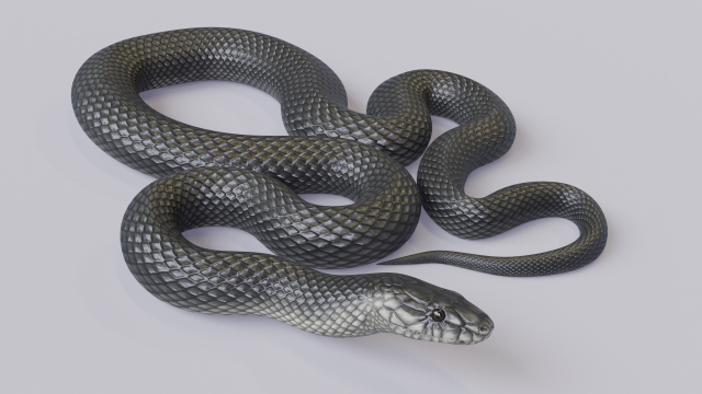 black mamba - animated 3D-Modell .c4d .max .obj .3ds .fbx .stl .blend 