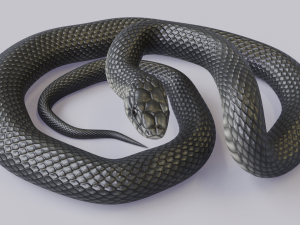 black mamba - animated 3D-Modell