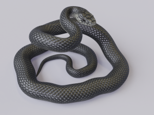 black mamba - animated 3D-Modell