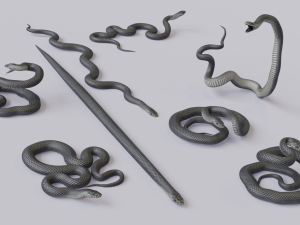 black mamba - animated 3D-Modell
