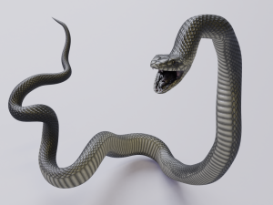 black mamba - animated 3D-Modell