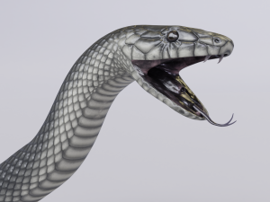 black mamba - animated 3D-Modell