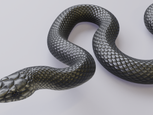 black mamba - animated 3D-Modell