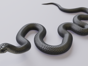 black mamba - animated 3D-Modell