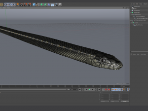 black mamba - animated 3D-Modell