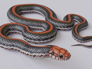 black orange snake - animated 3D Model