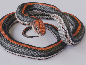 Black orange snake - animated 3D Model