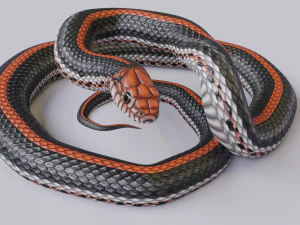 Black orange snake - animated 3D Model