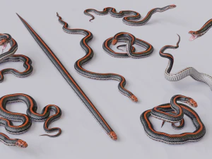 Black orange snake - animated 3D Model