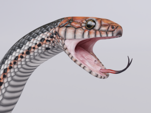 Black orange snake - animated 3D Model