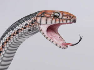 Black orange snake - animated 3D Model