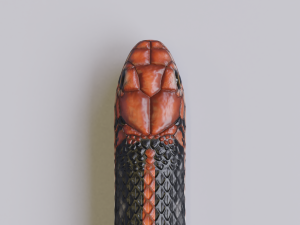 Black orange snake - animated 3D Model