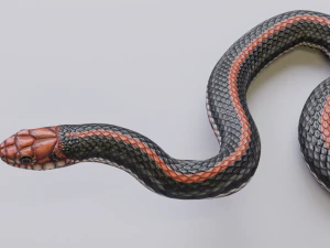 Black orange snake - animated 3D Model