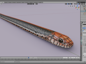 Black orange snake - animated 3D Model