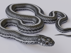 black white snake - animated 3D Model