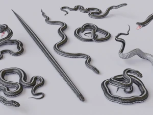 Black white snake - animated 3D Model