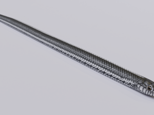 black white snake - animated 3D 모델