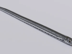 Black white snake - animated 3D Model