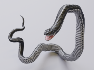 black white snake - animated 3D 모델