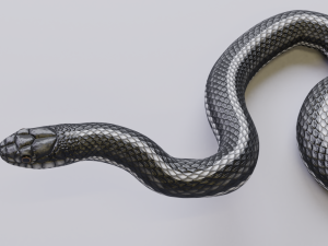 black white snake - animated 3D 모델