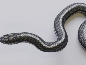 Black white snake - animated 3D Model
