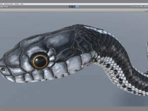 Black white snake - animated 3D Model