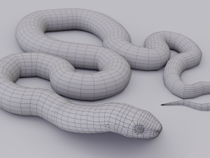 black white snake - animated 3D 모델