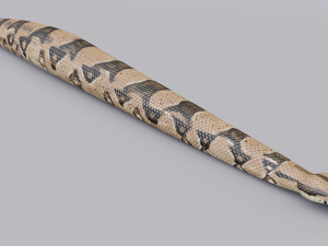 boa constrictor - animated Modèle 3D