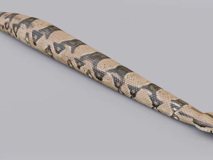 Boa constrictor - animated 3D Model