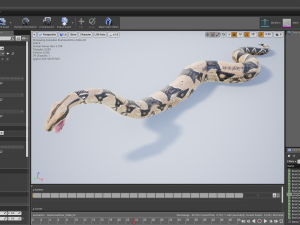 boa constrictor - animated Modèle 3D