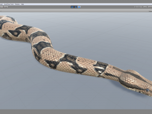 boa constrictor - animated Modèle 3D