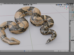 boa constrictor - animated Modèle 3D