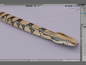 boa constrictor - animated Modèle 3D