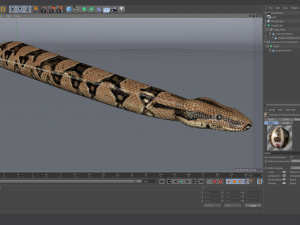 boa constrictor - animated Modèle 3D