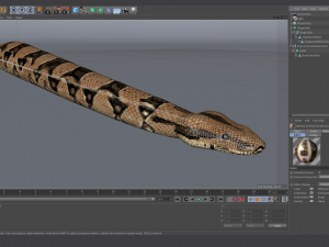 boa constrictor - animated Modèle 3D