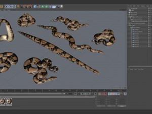 boa constrictor - animated Modèle 3D
